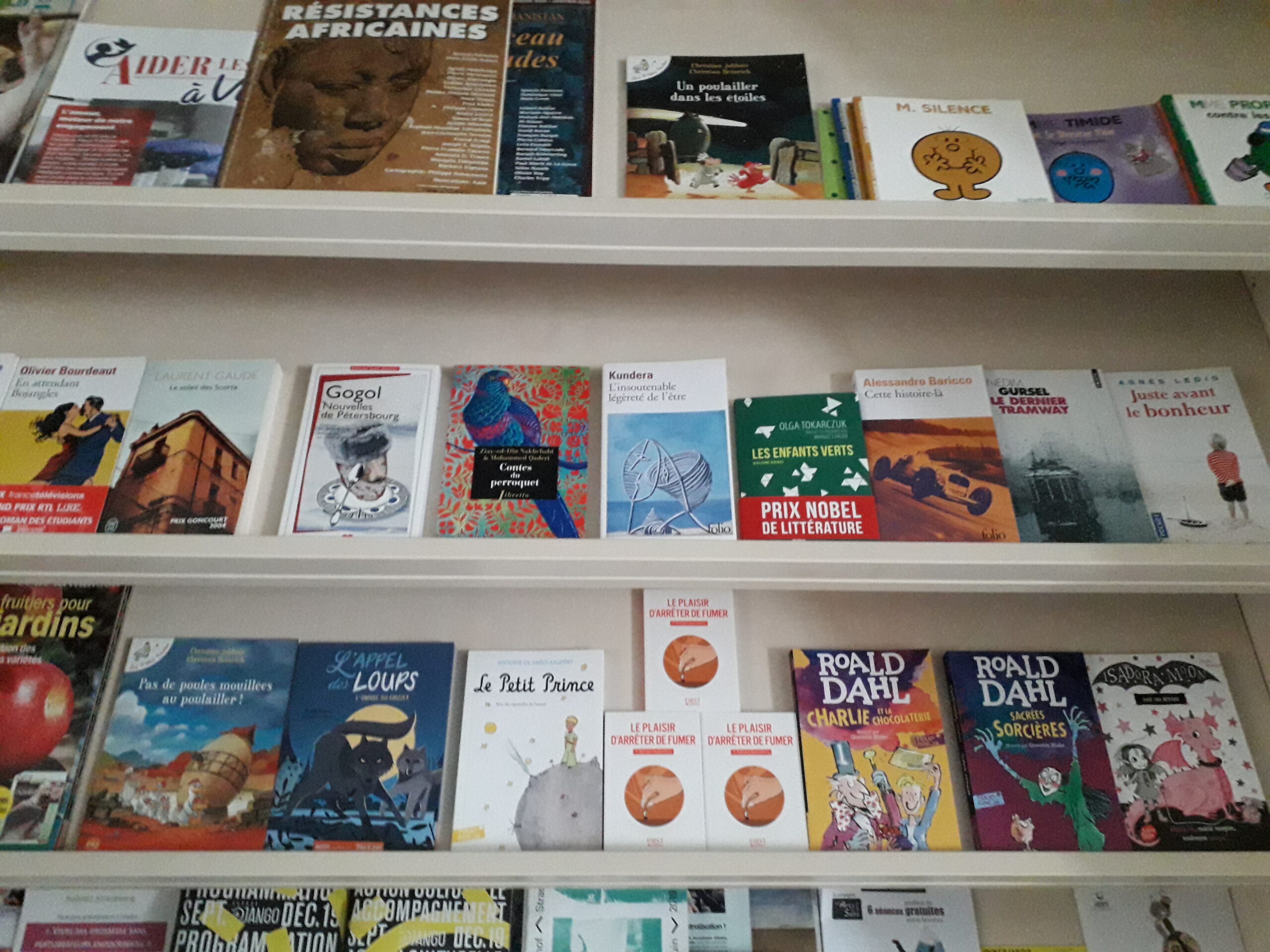 Bibilothèque partagée - 2019