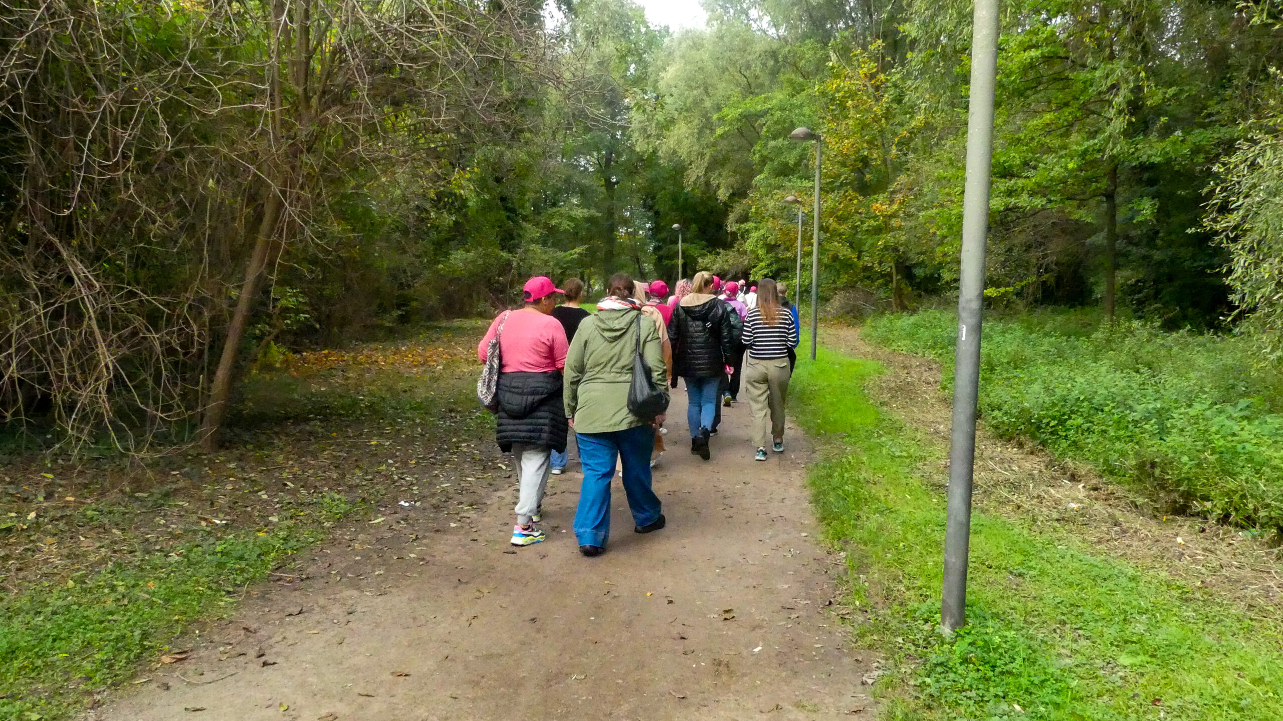 Marche octobre Rose 2024